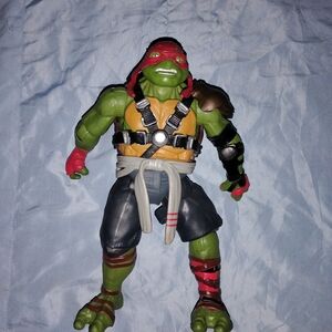 Teenage Mutant Ninja Turtle